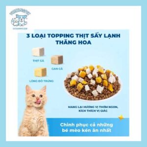 Thức Ăn Hạt Cho Mèo Mr.Vet Túi Nguyên 300g & 1kg - Hạt Mr Vet Topping Đủ Loại Thịt Cá Sấy Khô