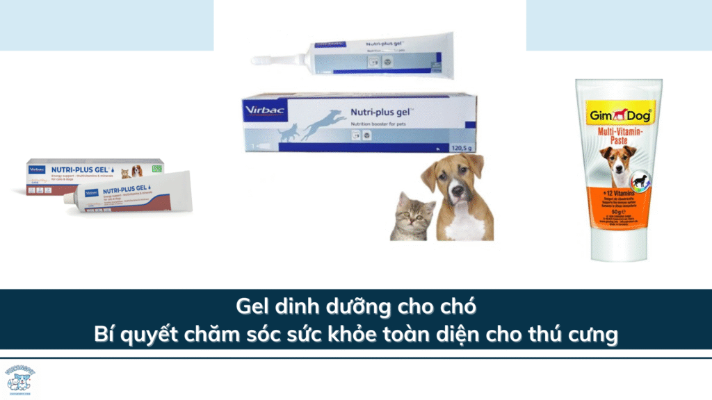 Gel dinh dưỡng cho chó – Bí quyết chăm sóc sức khỏe toàn diện cho thú cưng