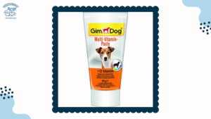 Gel dinh dưỡng cho chó – Bí quyết chăm sóc sức khỏe toàn diện cho thú cưng
