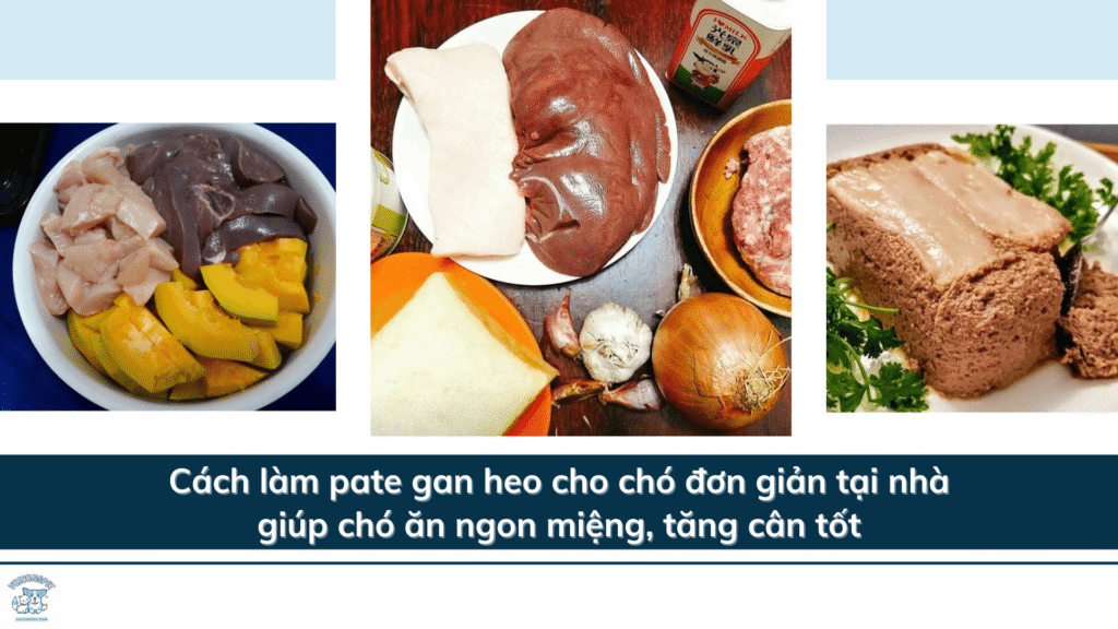 Cách làm pate gan heo cho chó đơn giản tại nhà giúp chó ăn ngon miệng, tăng cân tốt